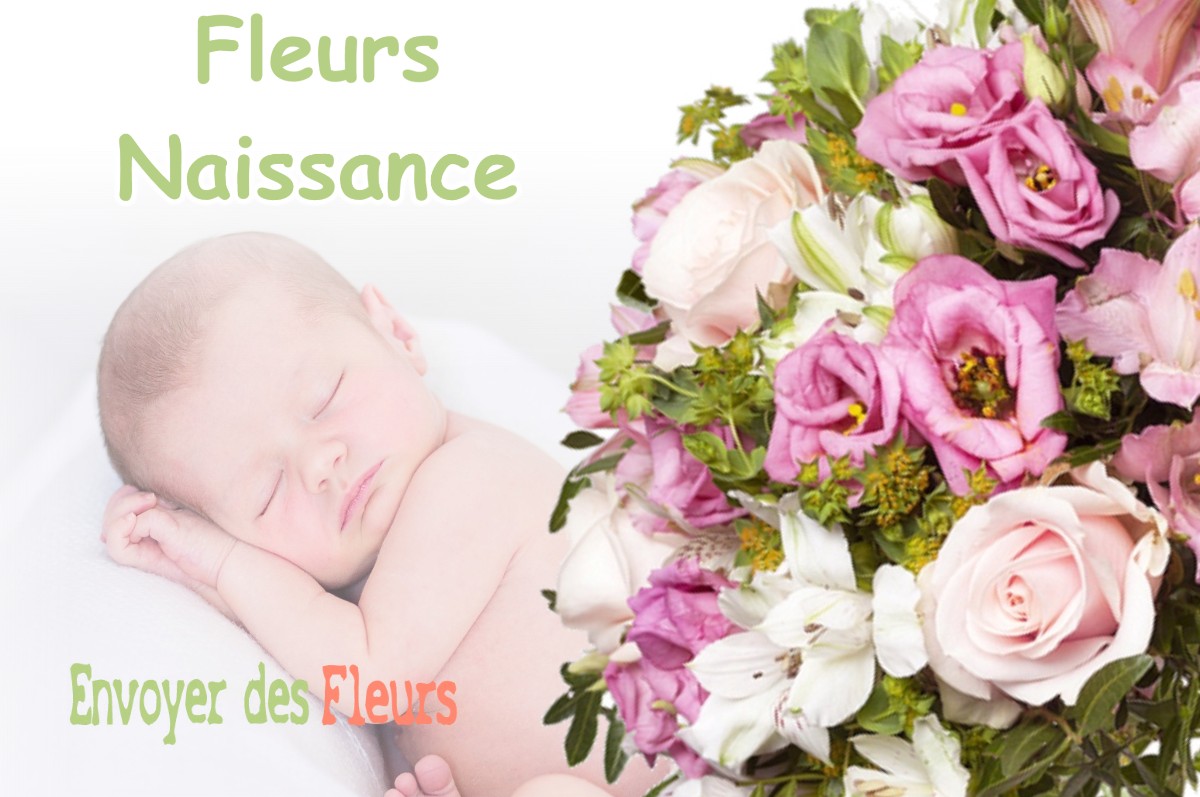 lIVRAISON FLEURS NAISSANCE à SAINT-SULPICE-SUR-LEZE